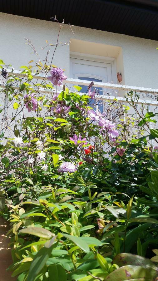 Chambre Avec Jardin Pierre Curie Bry-sur-Marne Extérieur photo